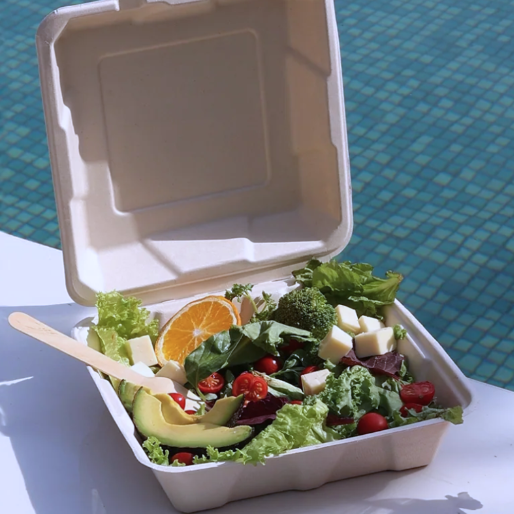 Bagasse Clamshell - 6” x 6" Box, White - Case - 500 Count, Bulk Packed, Zero Plastic, Certified Home Compostable, Plant-Based Disposable
